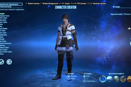 Final Fantasy XIV Character Customization: The Role of Fashion