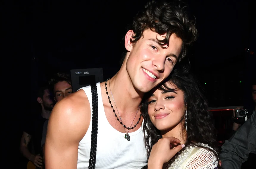 Shawn Mendes Camila Cabello: Liebesgeschichte im Rampenlicht