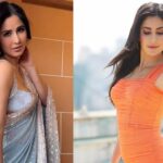 Katrina Kaif: ausführliche Biografie, Karriere persönliches Leben
